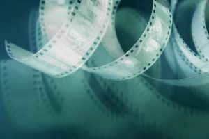 Read more about the article 《害羞草研究实验中心直接进入》主演阵容与幕后花絮